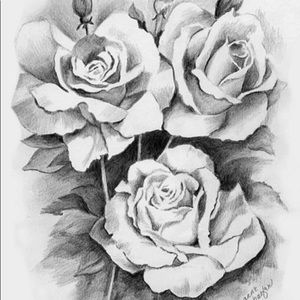 Meet your Posher, Elliott